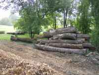 Wood_pile_003~0.jpg